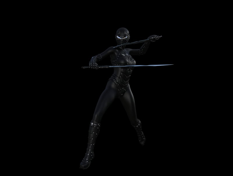 Samurai Warrior